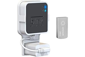 GRESUR 256GB USB Flash Drive for Local Video Storage with The Blink Sync Module 2 Mount (Blink Add-On Sync Module 2 is NOT Included)