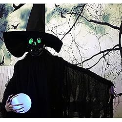 Haunted Hill Farm HHWITCH-2FL Life-Size Animated