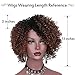AisiBeauty Natural Brown Medium Short Curly Wigs with Dark Roots Short Fluffy Curly Hair Wig for Black Women Heat Resistant Synthetic Wig