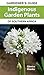 Gardener's Guide Indigenous Garden Plants of Southern Africa by 
