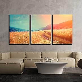3 Piece Canvas Wall Art - Fantastic Foggy River with Fresh Grass in The Sunlight. Dramatic Unusual Scene - Modern Home Art Stretched and Framed Ready to Hang - 16"x24"x3 Panels
