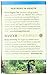 Choice Organic Teas Wellness Tea, Breathing Space, 16 Count