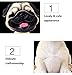 OZUKO Pug Bobblehead Mini Puppy Dog Figurine Car Dashboard Decoration Nodding Shaking Head Toys for Kids Room (Laugh Dog)