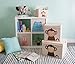DII Nursery Storage Bin for Toys, Clothing, Books, Cube Organizers (13 x 13 x 13), Monkey, w/Lid