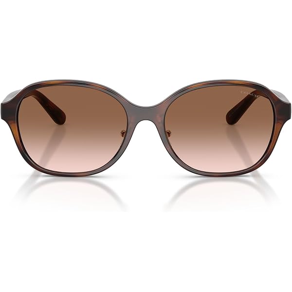 COACH HC8169-535313 Sunglasses BLACK w/BROWN GRADIENT 57mm  display picture 1