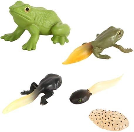 juego de la rana amazon