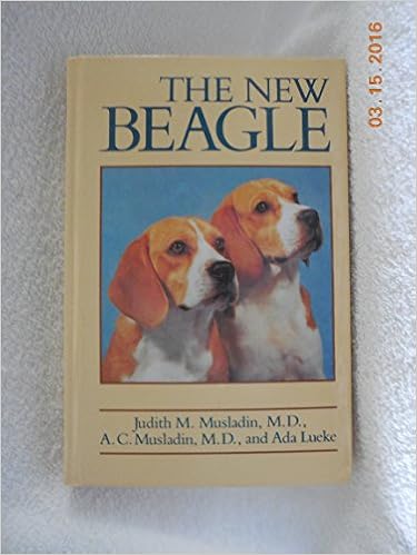 The New Beagle: A Dog for All Seasons  �n�[�h�J�o�[ - 1990/10/1