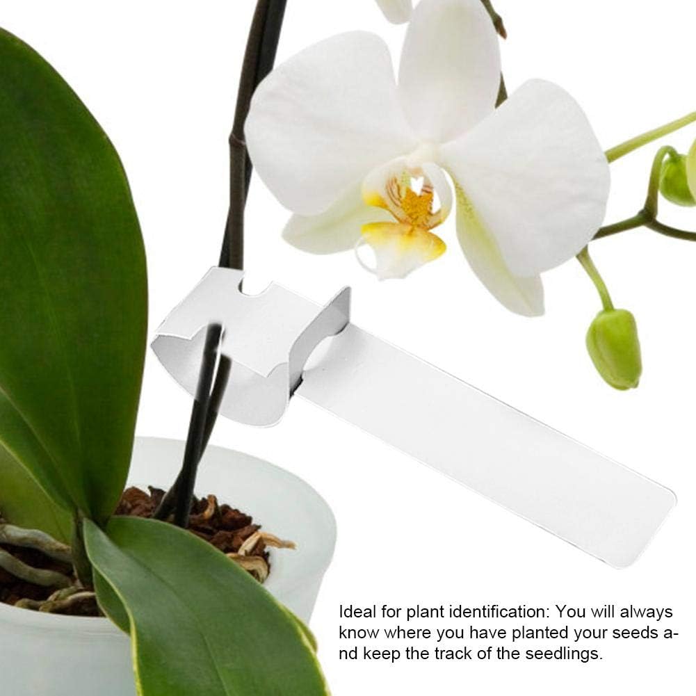 100PCS Plastic Plant Hanging Tree Tags Wrap Around Waterproof Garden Labels for Nursery Plants Outdoor Indoor Use White Plant Markers - Image 3