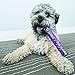 KONG PSC15 Squeezz Confetti Ring Dog Toy, Large, Colors Vary