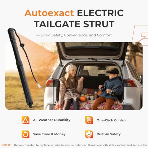 Autoexact Electric Liftgate Struts Fit for 2019-2025 Toyota Rav4, Power Liftgate Actuator, Rear Hatch Lift Support, Trunk Tailgate Struts Shock Replacement# 6892042020 6891042060 (Left & Right, 1Pair)
