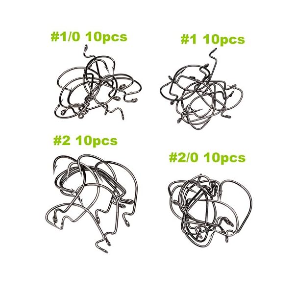 PLUSINNO-Fishing-Accessories-Kit-241-Pcs-Including-Hooks-Bullet-Weights-Sinker-Rolling-Barrel-Bearing-Swivels-Connector-Fishing-Line-Beads-Fishing-Accessories-Set-With-Tackle-Box PLUSINNO-Fishing-Accessories-Kit-241-Pcs-Including-Hooks-Bullet-Weights-Sinker-Rolling-Barrel-Bearing-Swivels-Connector-Fishing-Line-Beads-Fishing-Accessories-Set-With-Tackle-Box