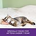Wellness Complete Health Natural Dry Cat Food, Kitten Health Recipe, 5.9-Pound Bag