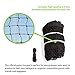 Champion Sports Backyard Lacrosse Goal Official Size Goal with Net - 6' x 6'