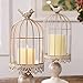 RuiXiang Open Birdcage Candle Holder,Vintage Candle Holder,Wrought Iron Decoration Birdcage Candle Holder,Wedding Romantic Birthday Supplies (Big)