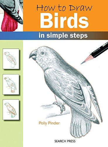 How to Draw: Birds: in simple steps