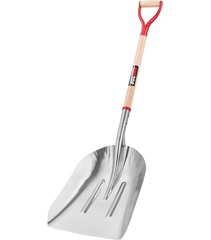 Amazon.com : Backcountry Access BCA Dozer Shovel for Snow
