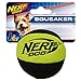 Nerf Dog Trackshot Crunch and Squeak Ball Dog Toy, Small/Medium, Green