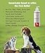 Wild Omega 3 Fish Oil for Dogs and Cats - Pure All Natural Formula Supports Supports Healthy Skin, Coat, Joints, Heart and Immune System - Higher Levels of EPA & DHA than Salmon Oil - 32 Oz