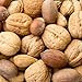 Oh! Nuts Mixed Nuts in Shell - Jumbo Raw Nuts - 2 lb - 100% Natural Mixed Nuts in Shell Assortment