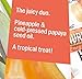 Hurraw! Pineapple Lip Balm: Organic, Certified Vegan, Cruelty and Gluten Free. Non-GMO, 100% Natural Ingredients. Bee, Shea, Soy and Palm Free. Made in USA