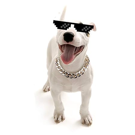 KDSANSO Hundehalsband, Welpen-Kette Halskette Starke Kette Schlange Metallhalsband Hundehalsbänder Haustier Hals Seil für Wel
