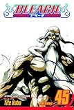 Bleach, Vol. 45