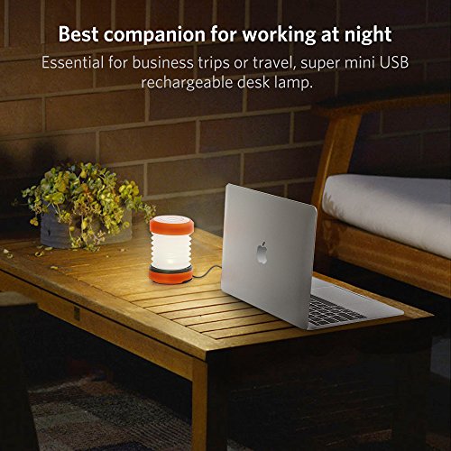 ThorFire Campinglamp, led, opvouwbare lantaarn, dynamo, draagbaar, oplaadbaar door zwengel en USB, campinglamp voor… - Image 6