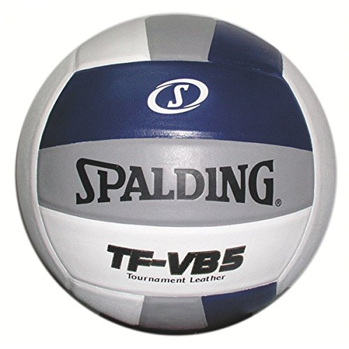 Spalding TF-VB5 Navy/Silver/White