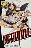 Negima! 25: Magister Negi Magi