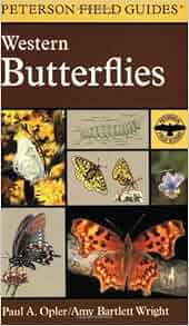 A Field Guide To Western Butterflies Peterson Field