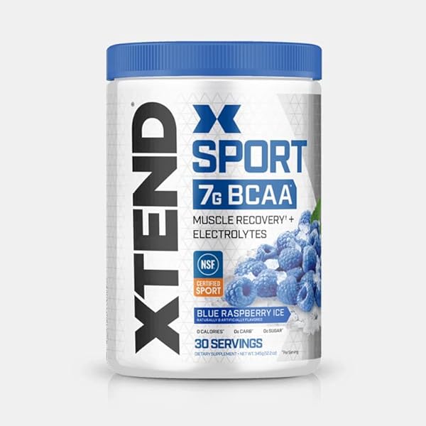 XTEND SPORT BCAA POWDER BLUE RASPBERRY ICE – ELECTROLYTE POWDER FOR RECOVERY & HYDRATION WITH AMINO ACIDS – 30 SERVINGS