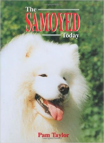 The Samoyed Today �n�[�h�J�o�[  - 2000/12/31