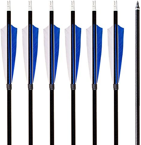 Archery sharly 31" Fiberglass Targeting Practice Arrows Fletching with 5'' Natural Feathers and Replacement Tips for Recurve and Long Bow (6 Pack)