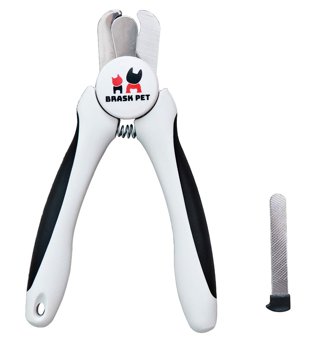 Best Which Dremel To Get