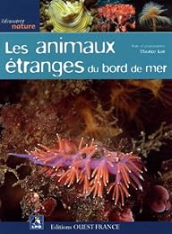 Les  animaux étranges du bord de mer