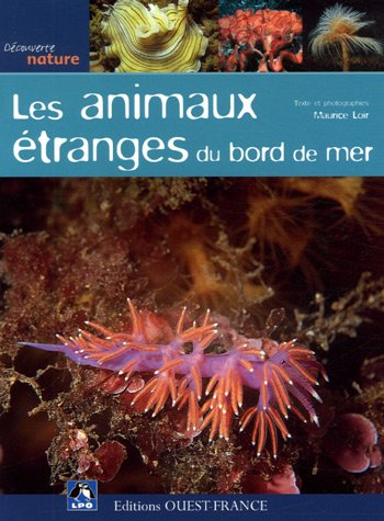 Les  animaux étranges du bord de mer