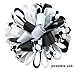 Hip Girl Boutique Printed Grosgrain Ribbon Value Pack (180yd 3/8