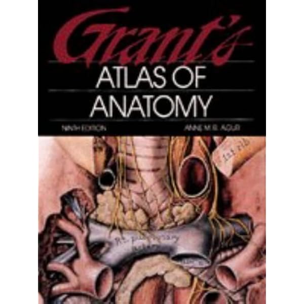 Grants Atlas of Anatomy 8ED: Anderson: 9780683002119: Amazon.com