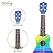 Honsing Kids Ukulele,Soprano Ukulele Beginner,Hawaii kids Guitar Uke Basswood 21 inches with Gig Bag- Rainbow Color matte finish