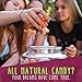Organic Gummy Cubs | Vegan & Kosher Gummy Bears | No Gelatin, Gluten, GMO, Preservatives, Corn Syrup, or Artificial Ingredients by The Organic Candy Factory [4-Pack] (Mixed Berry)