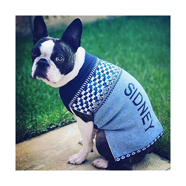 personalised dog jumper