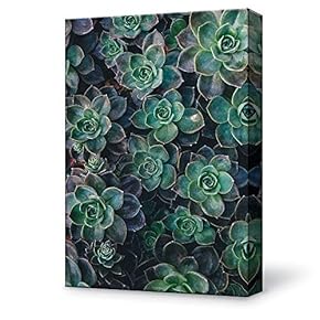 Canvas Wall Art Green Succulent Canvas Painting Wall Poster Decor for Living Room Framed Home Decorations - 12x18 inches