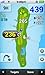 GolfBuddy GB3-PT4 Golf GPS/Rangefinder, Silver, Adjustable