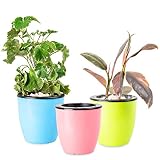 (3 Sets) Self Watering Planters - Suitable for All Plants, African Violets, Herb Pot for Plants. African Violet Pots Self Watering Pots for Indoor Plants/Outdoor Flowers Pots Indoor Pink,Blue&Green