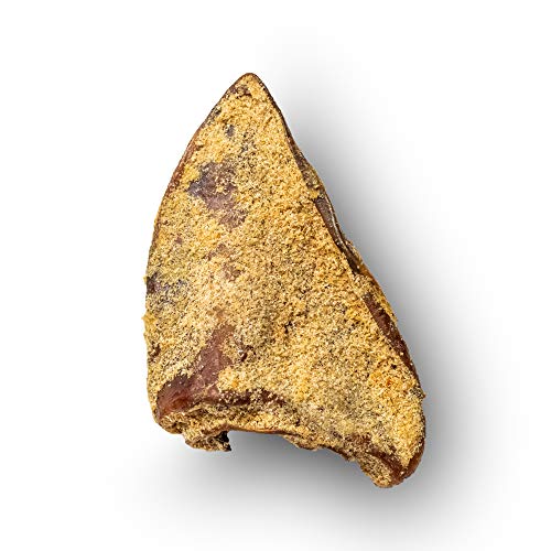 Platinum Pet Treats, Cozy Sample Pack, 100 Natural Dog Chew Treat for