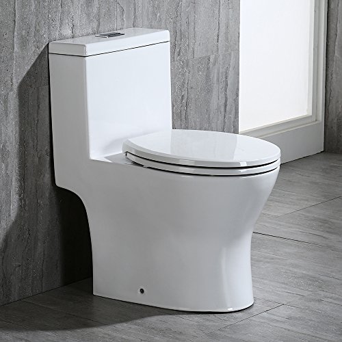 Woodbridge Modern Design, Elongated One Piece Toilet Dual Flush 1.0/1.6 GPF,with Soft Closing Seat, White, T-0032