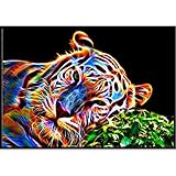 Todaies Hot!Animal 5D DIY Diamond Painting Europe