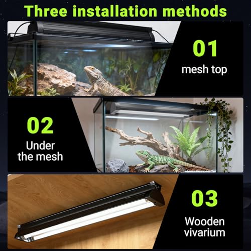 Jellybibo 8W T5 UVB Light Reptile Kit, 10% UVB & 30% UVA for Tropical Desert Reptiles, 31.5cm (12.4in) High Output Fixture with T5 10.0 UVB Tube for Bearded Dragon, Lizard, Tortoise & Gecko