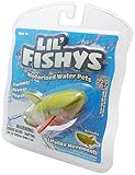 Lil Fishy Brooks