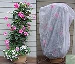 Bag XL Frost Protection Plant Cover-Green